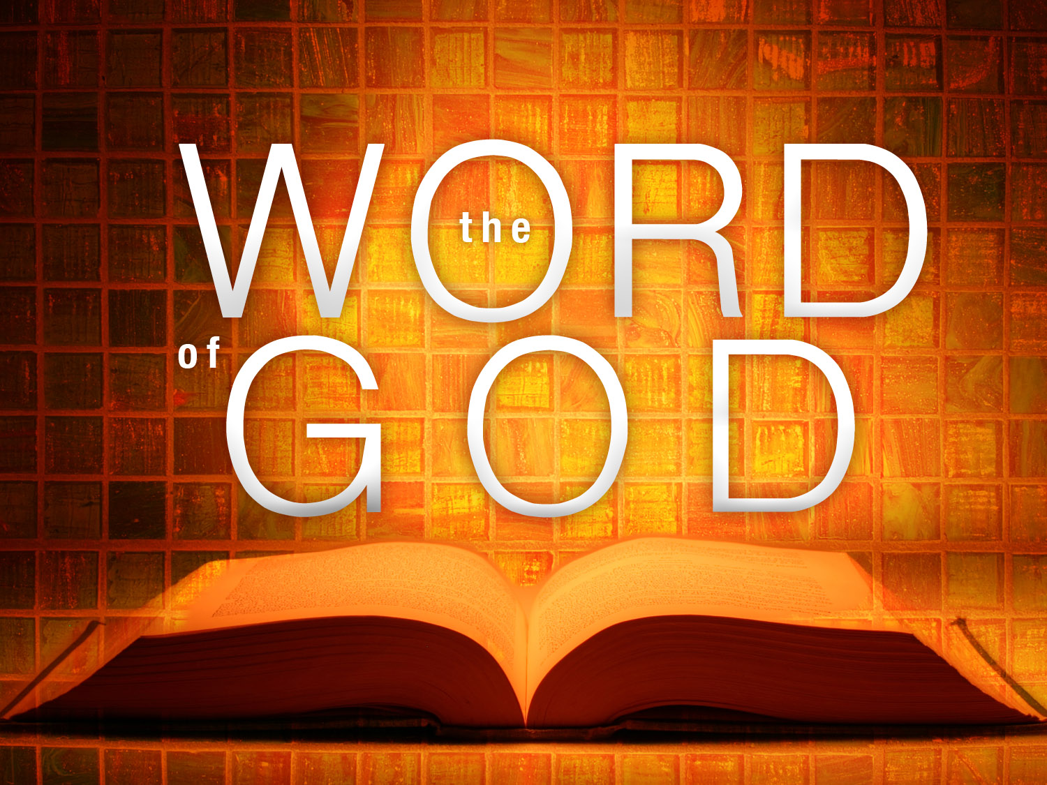 Stand On My Word - Prophetic Light Prophecies