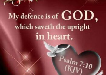 I Will Defend and Preserve You