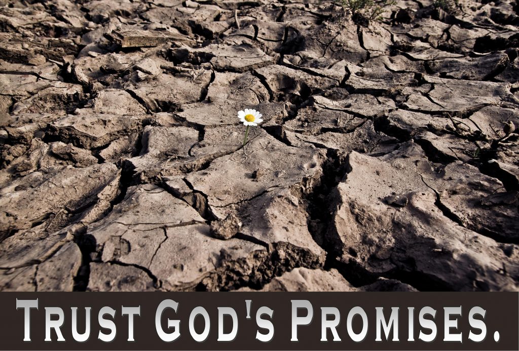 Gods Promises