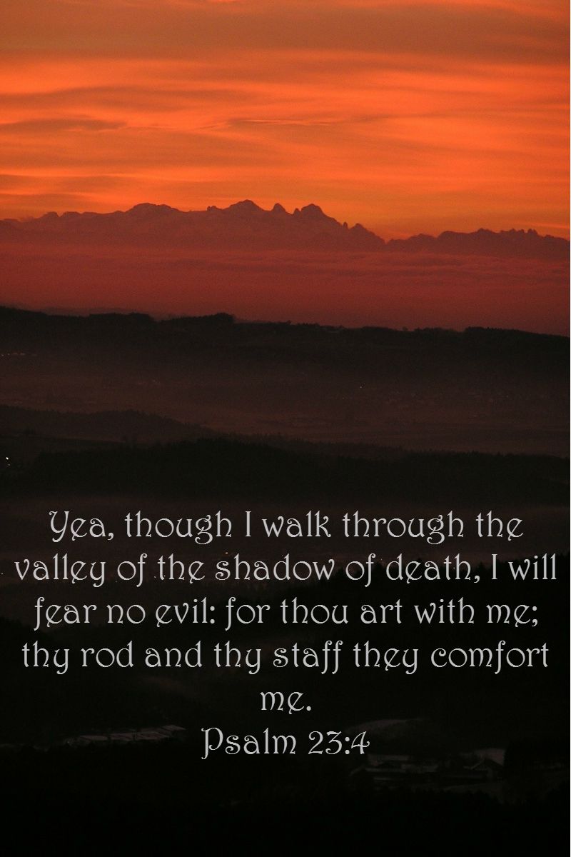 Deliverance, Protection and Comfort