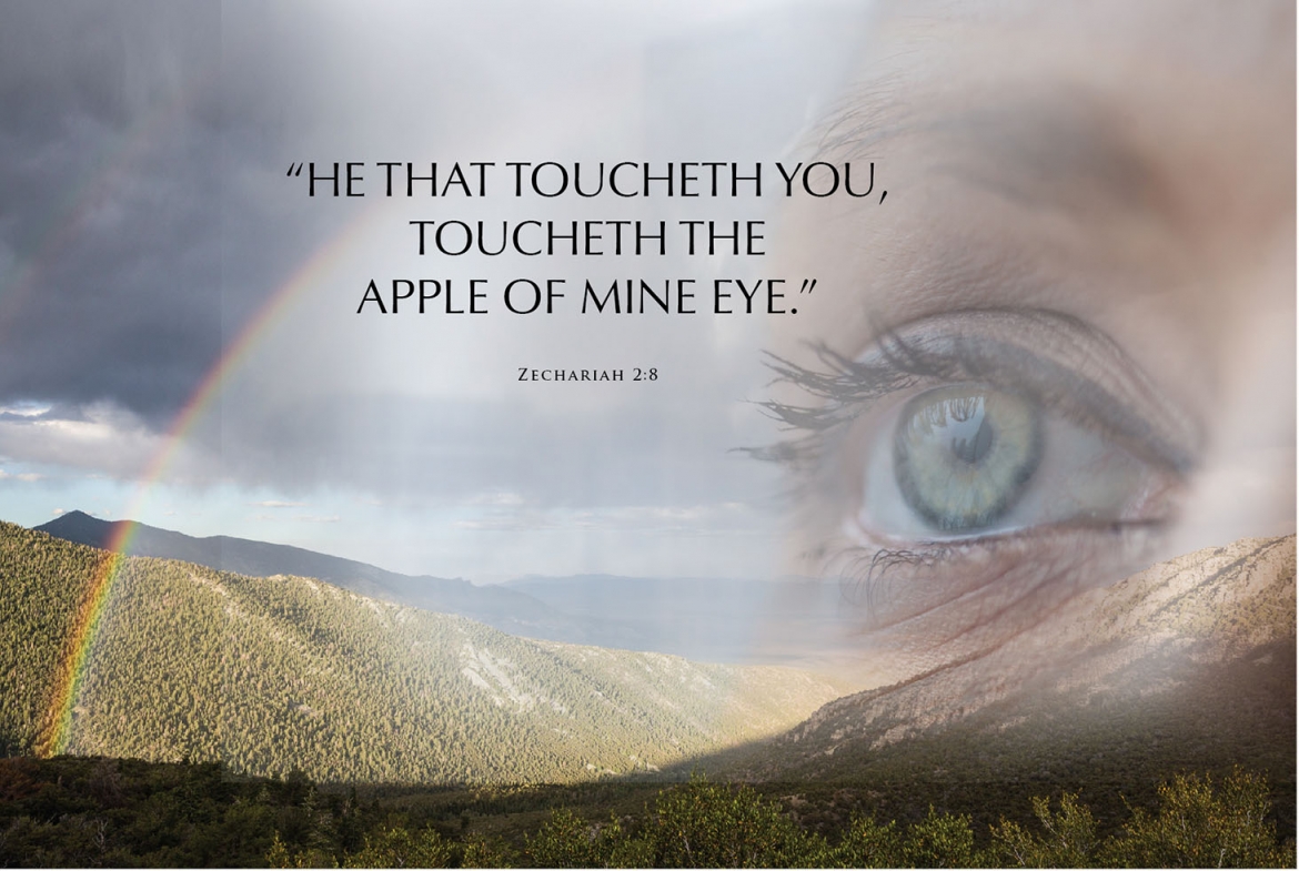 Defend, Protect, Avenge