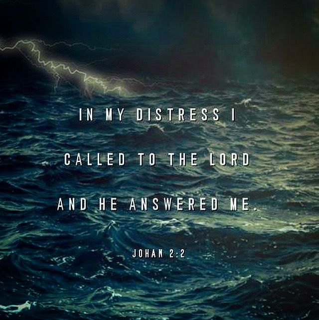 You Will Answer My Prayers